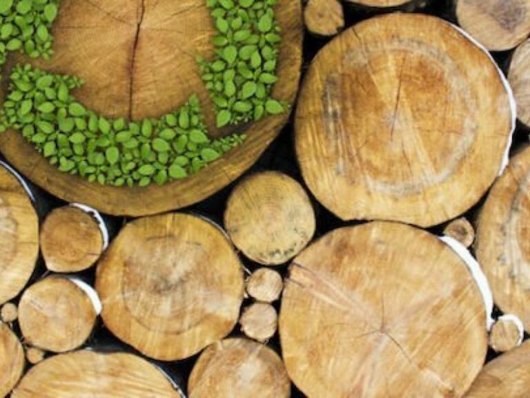 Assoimballaggi: o sinal verde para caixotes de madeira para o transporte de alimentos é bom