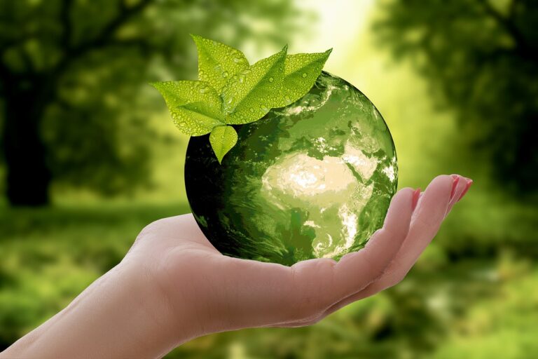 Desenvolvimento Sustentável: Integrando Economia, Sociedade e Meio Ambiente